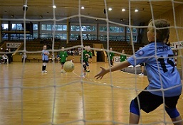 Házená   Kopřivnice Karviná 235